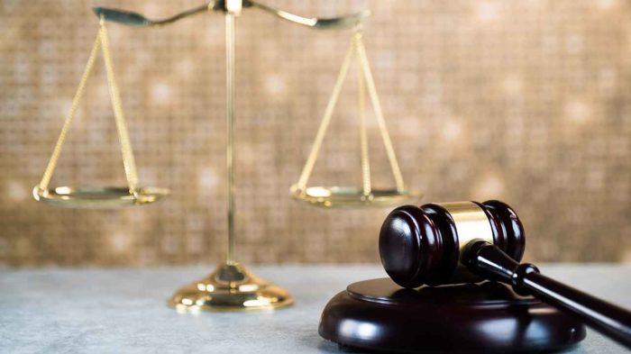 rep-cases-appellate